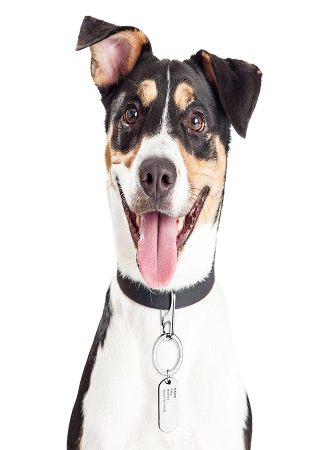 JOVITEC 3 Sets Dog Tag Clip ID Tag with Rings Holder for Dogs and Cats Collars Harnesses - Image 4